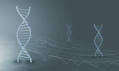 DNA分子高科技DNA分子的生物化学背景