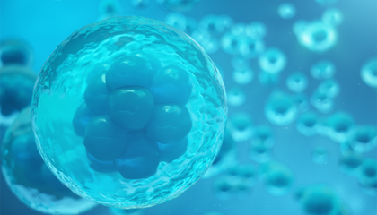 专注细胞生物科技,“达尔文生物”完成A+轮融资