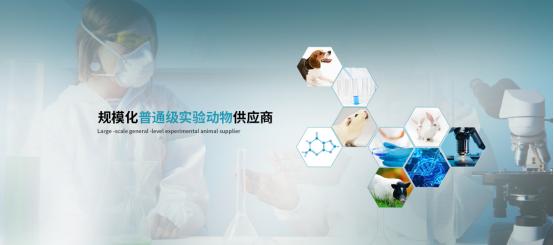 恭喜上海甲干生物科技中标苏州大学实验动物供应商