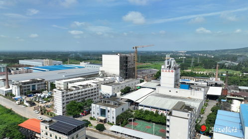 遂溪县多措并举推进产业升级与传统保护融合发展