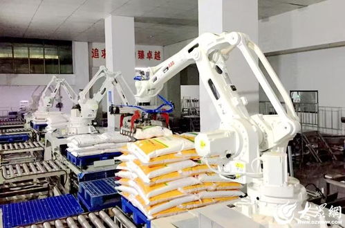 科技赋能，农头工尾 潍坊安丘新安街道锻造健康食品产业黄金链条