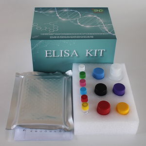 滁州仕诺达生物科技发布大鼠癌胚抗原(CEA)试剂盒新品，提供48T与96T两种规格