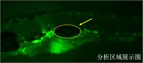杭州环特生物科技股份公司最新动态与发展概览