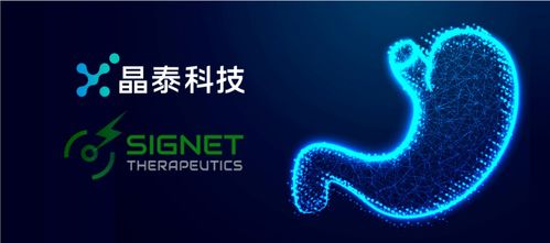 晶泰科技携手希格生科，推动弥漫性胃癌项目获重大进展